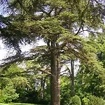 Nocleg ze śniadaniem Chateau De Michel De Lanes 3*