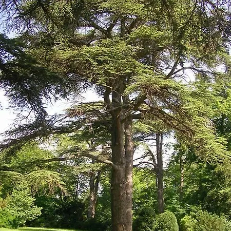 Couette-café Chateau De Michel De Lanes 3*