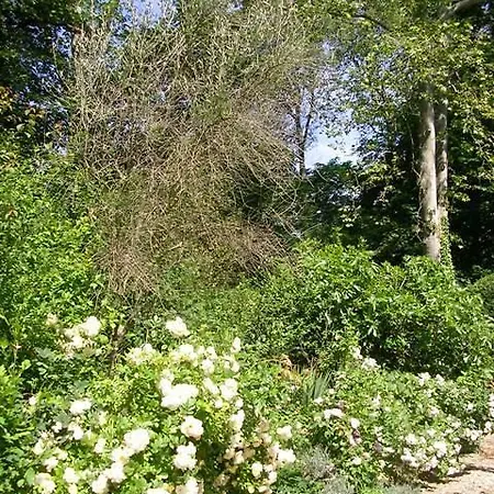 Chateau De Michel De Lanes Couette-café Saint-Michel-de-Lanès