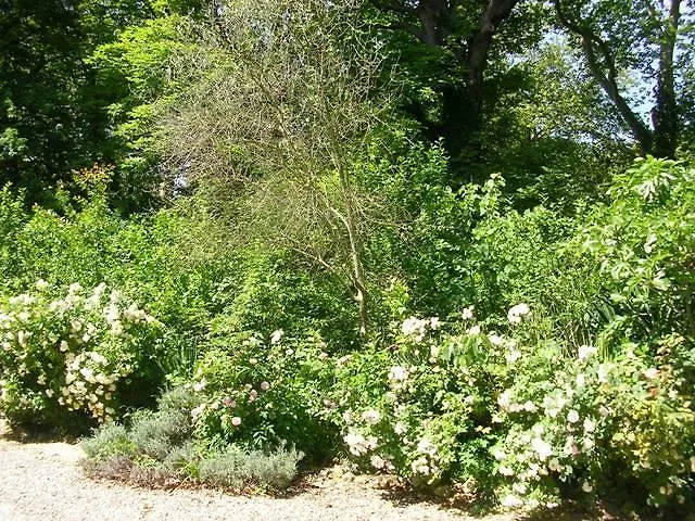 Chateau De Michel De Lanes