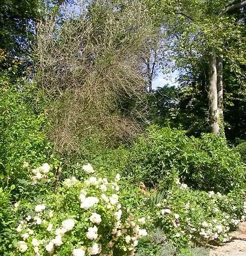 Chateau De Michel De Lanes Bed & Breakfast Saint-Michel-de-Lanès